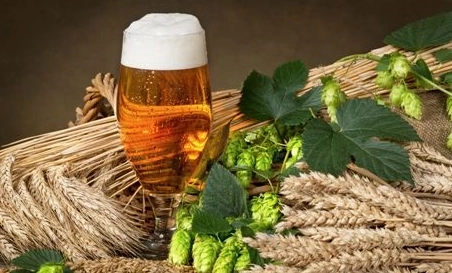 精釀啤酒中，如何選擇恰當的浸麥方法？