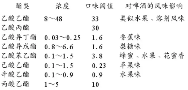 精釀啤酒設備,啤酒廠(chǎng)設備,開(kāi)辦啤酒廠(chǎng),發(fā)酵，錐形罐